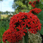 RÖMER Terrassen Kroatische und Intern. Küche