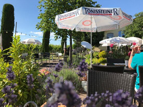 Marienhof Weingut-Brenneria