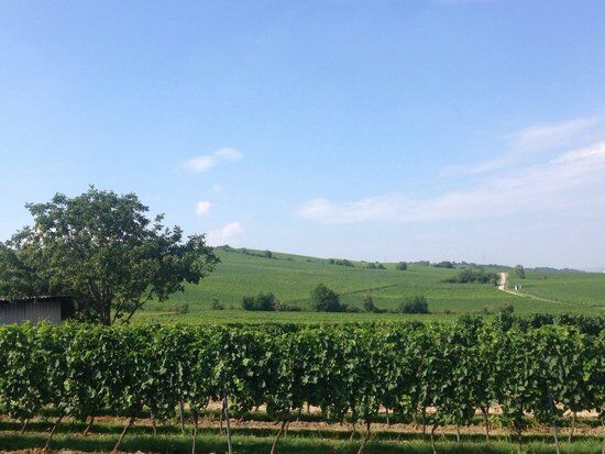 Weinstube Potsdamer Hof