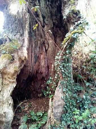 Restaurant le Jardin d'Amandes