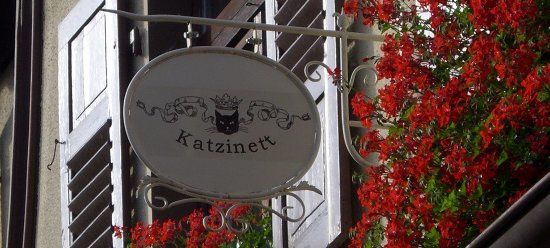 Katzinett