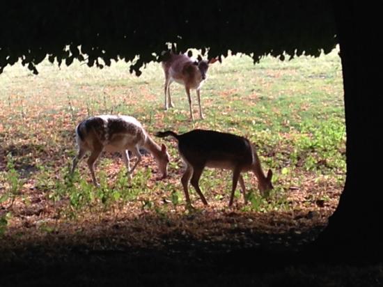 Lindenthaler Tierpark