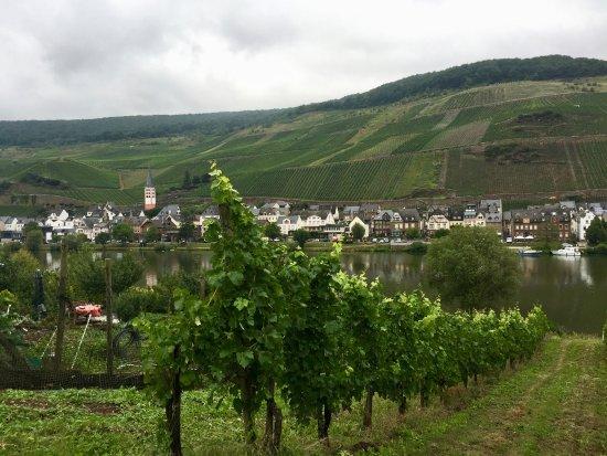 Restaurant Weinhaus Fuhrmann