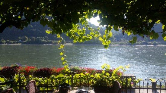 Rheinhotel Zum Anker