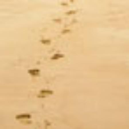 China-Restaurant Jade