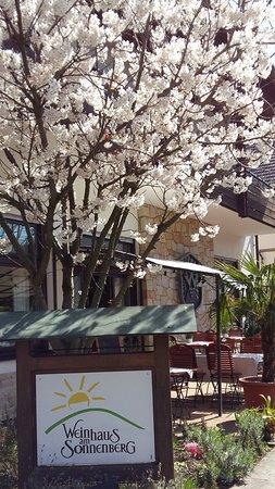 Weinhaus Am Sonnenberg