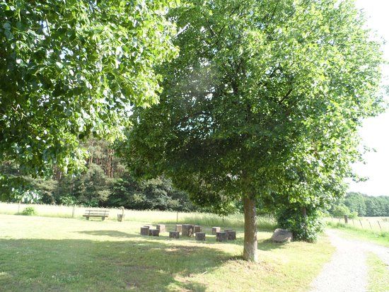 Heidegericht Rodenbach