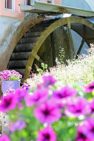 Densborner Wassermühle