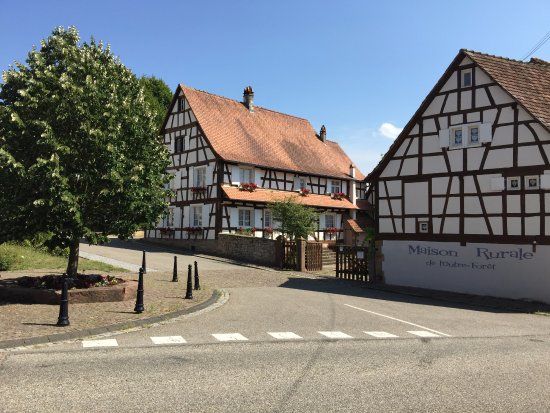 Rural House of Overseas Forest