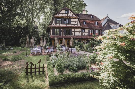 Du Côté de Chez Anne