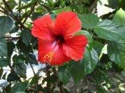 Hotel SAARBURGER HOF