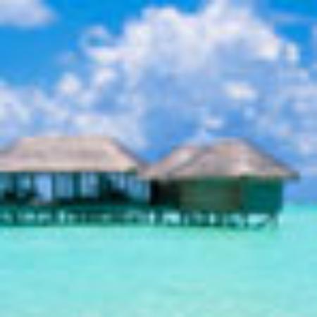 Weintreff Grünewald-Schima