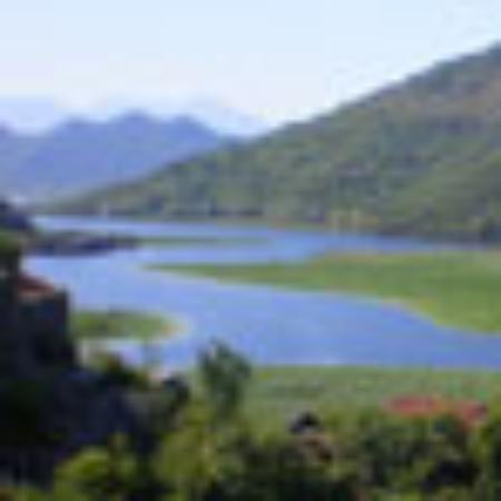 Landhotel Neuses