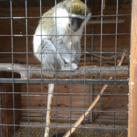 Tierpark Donnersberg
