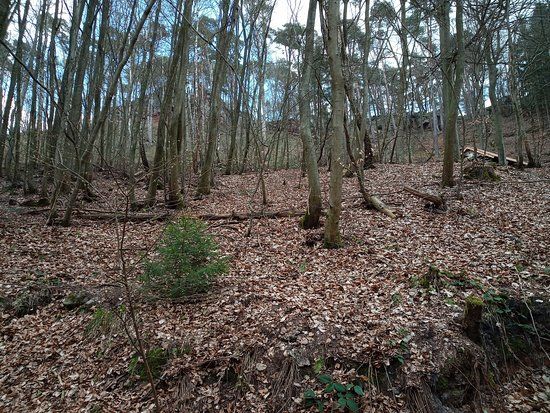 Quellheiligtum Heidenfelsen