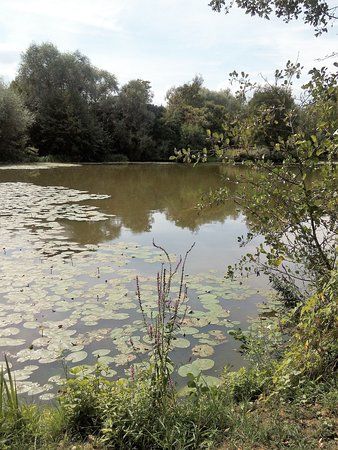 Freizeitgebiet Waldsee