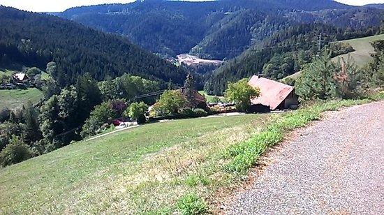 Gasthaus Schwarzwaldstube Eselbach