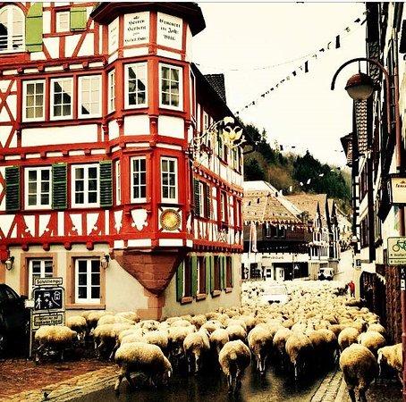 Restaurant Adler 1604