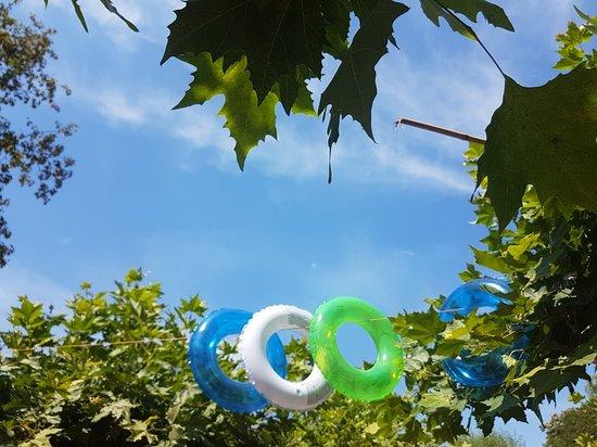 Pourtales Cote Plage