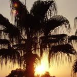 TRATTORIA PIZZERIA dal Contadino Winkler HOFSTUBLE