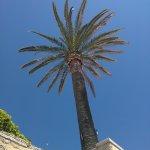 Landgasthaus Molitor