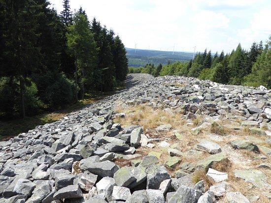 Ringwall von Otzenhausen