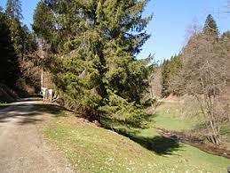 Köllbachtal mit Seitentälern