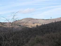 Rossert