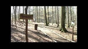 Walderlebnispfad Spessart