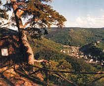 Trippstein