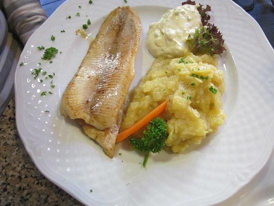 Forellenzucht Baden-Baden