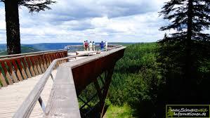 Aussichtsplattform Ellbachseeblick