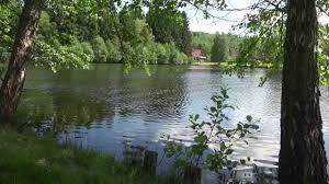 Bach vom Reißlerhof