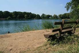 Niederwaldsee