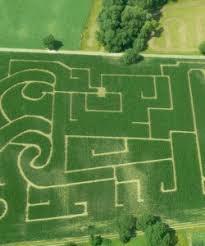 Maislabyrinth