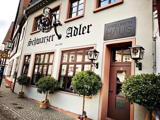 Schwarzer Adler