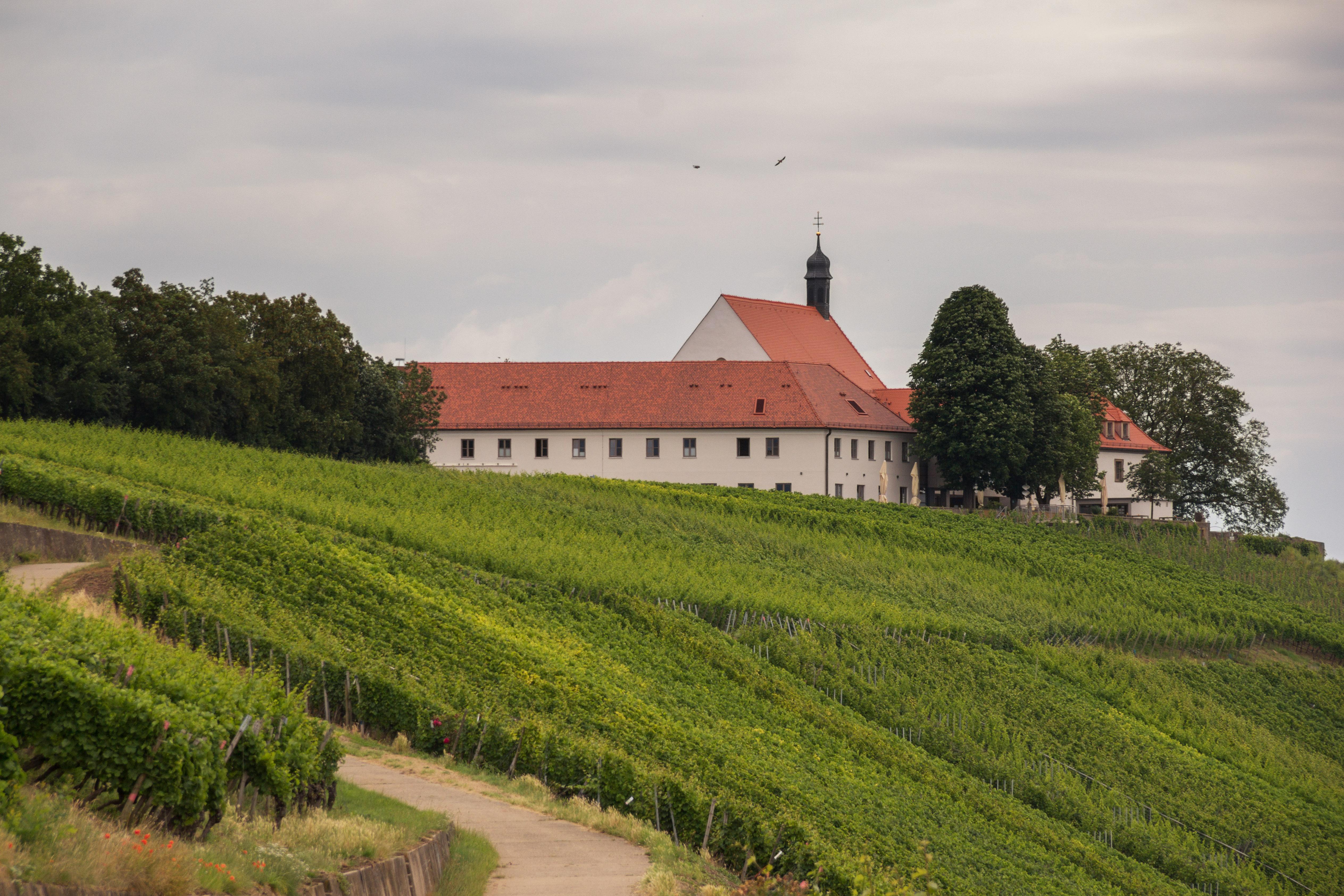 Vogelsburg
