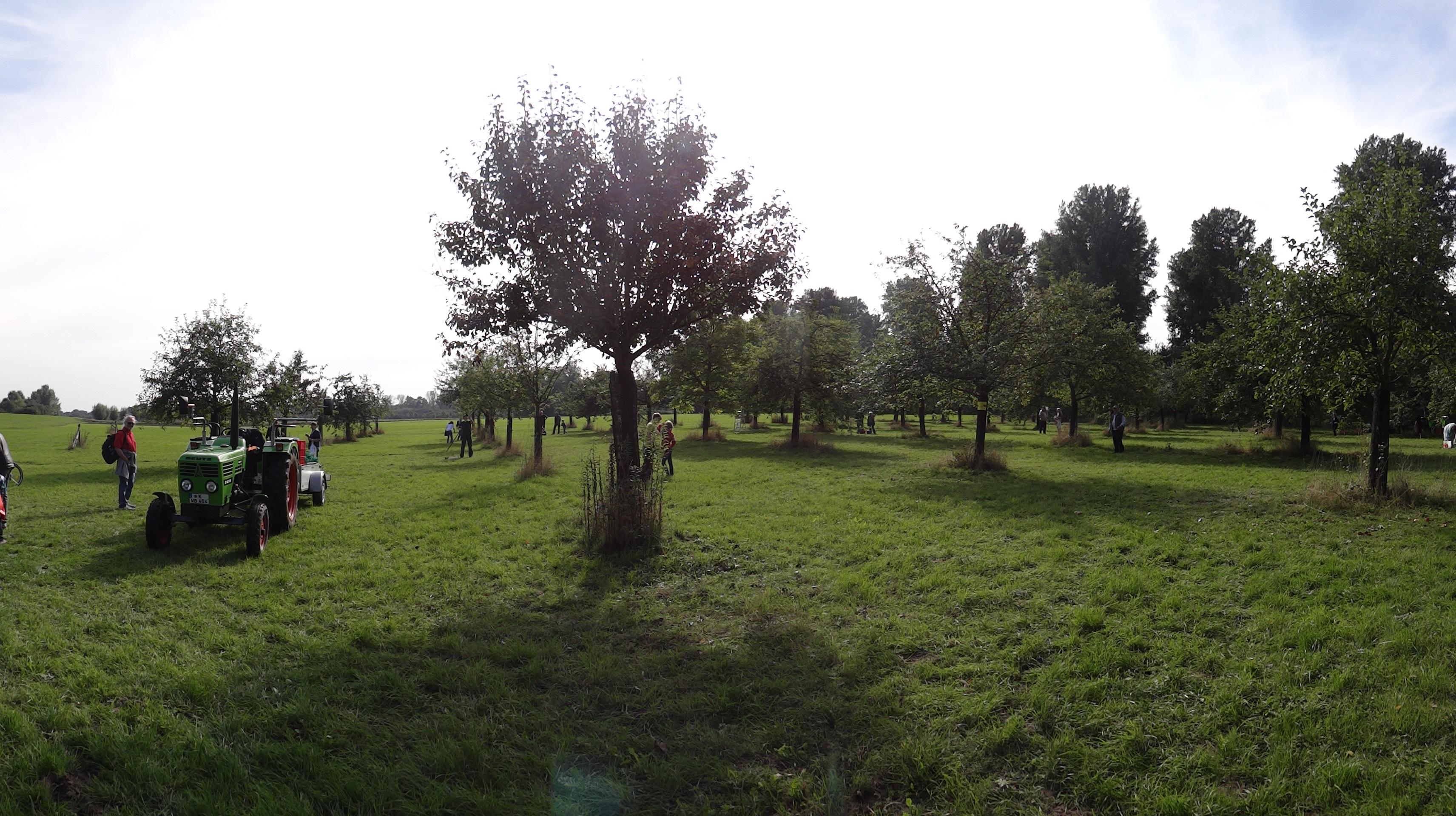 Flittarder Rheinaue