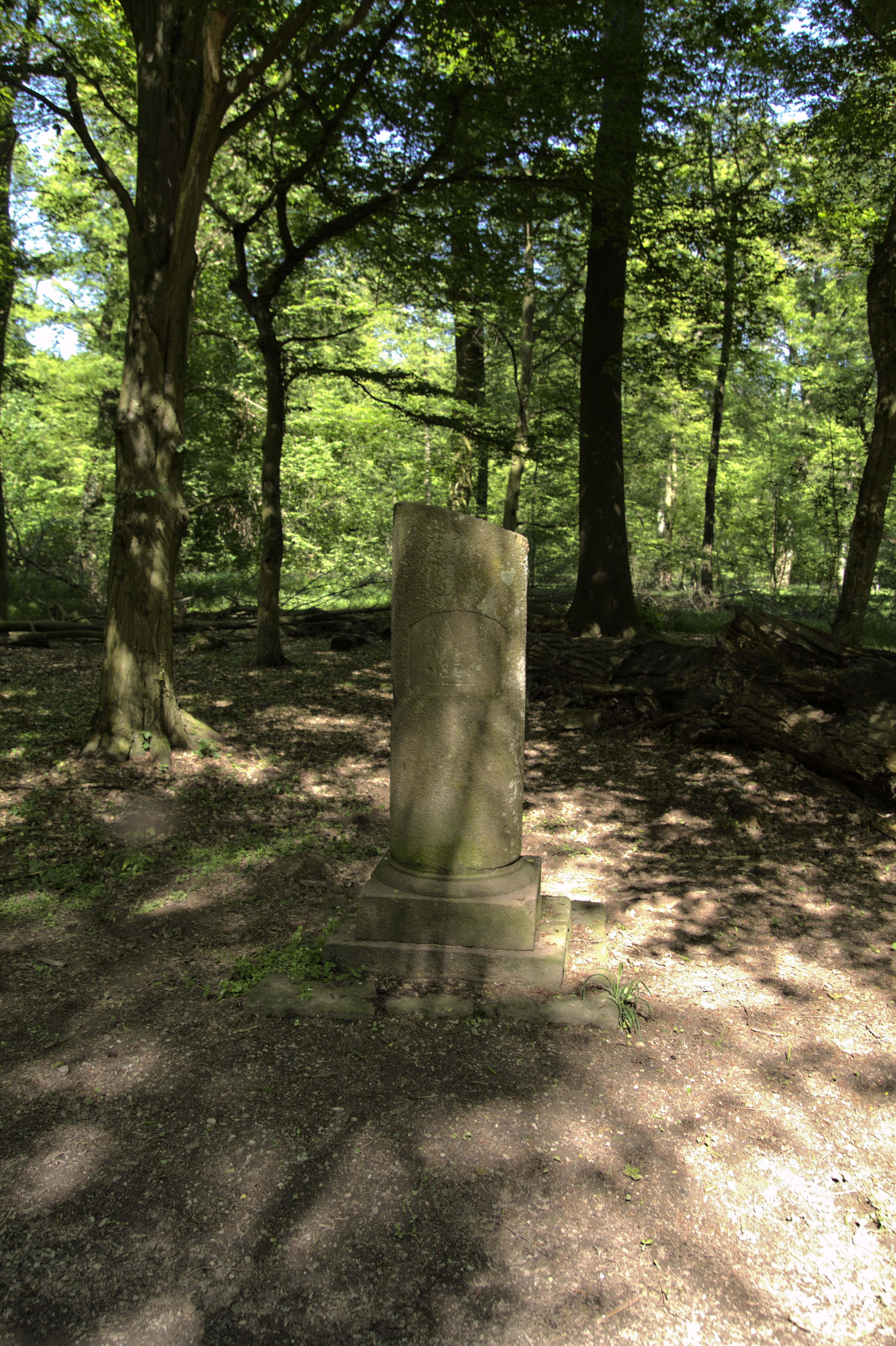 Auenwälder und Feuchtwiesen westlich von Ötigheim