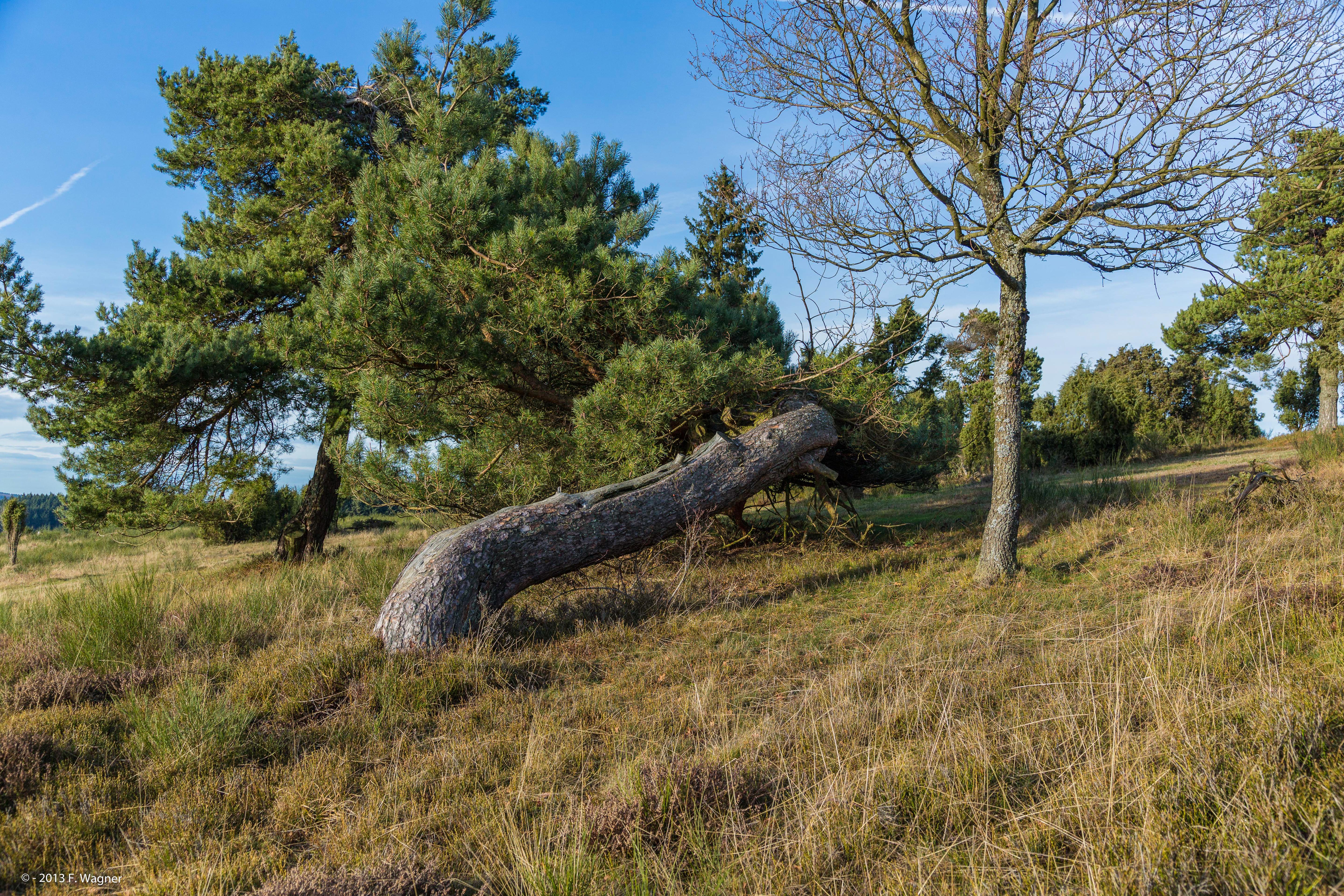 Dr.-Heinrich-Menke-Park