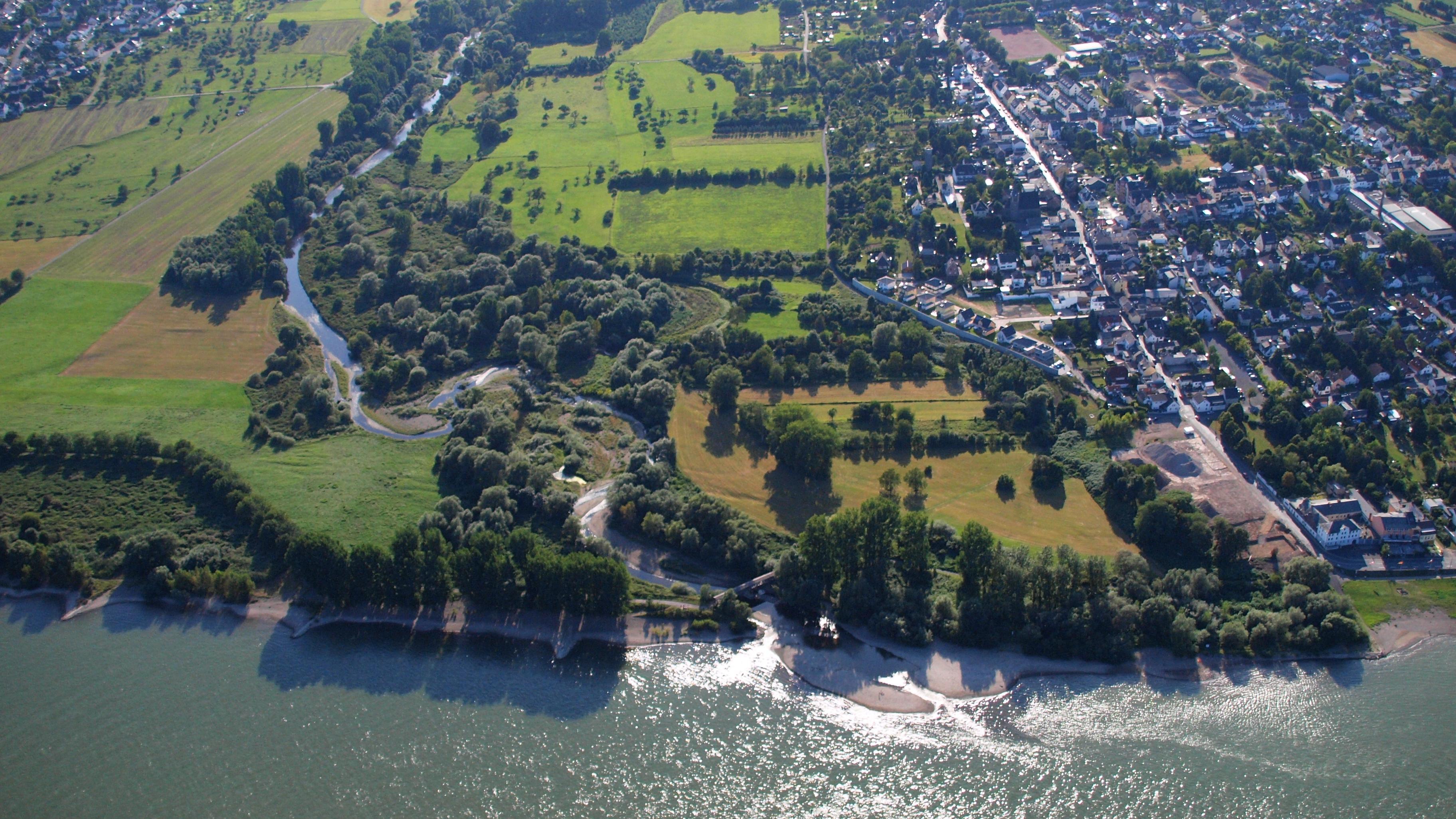 Mündungsgebiet der Ahr