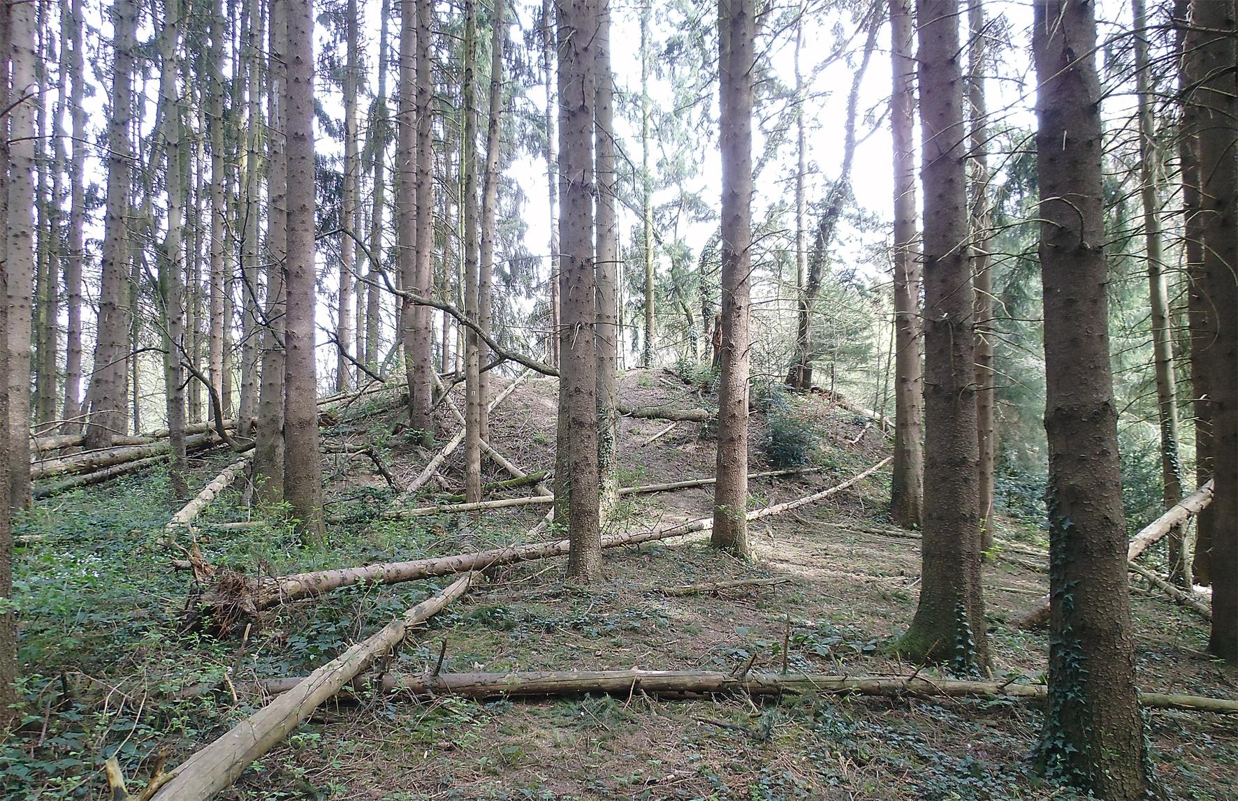 Motte Beienburg
