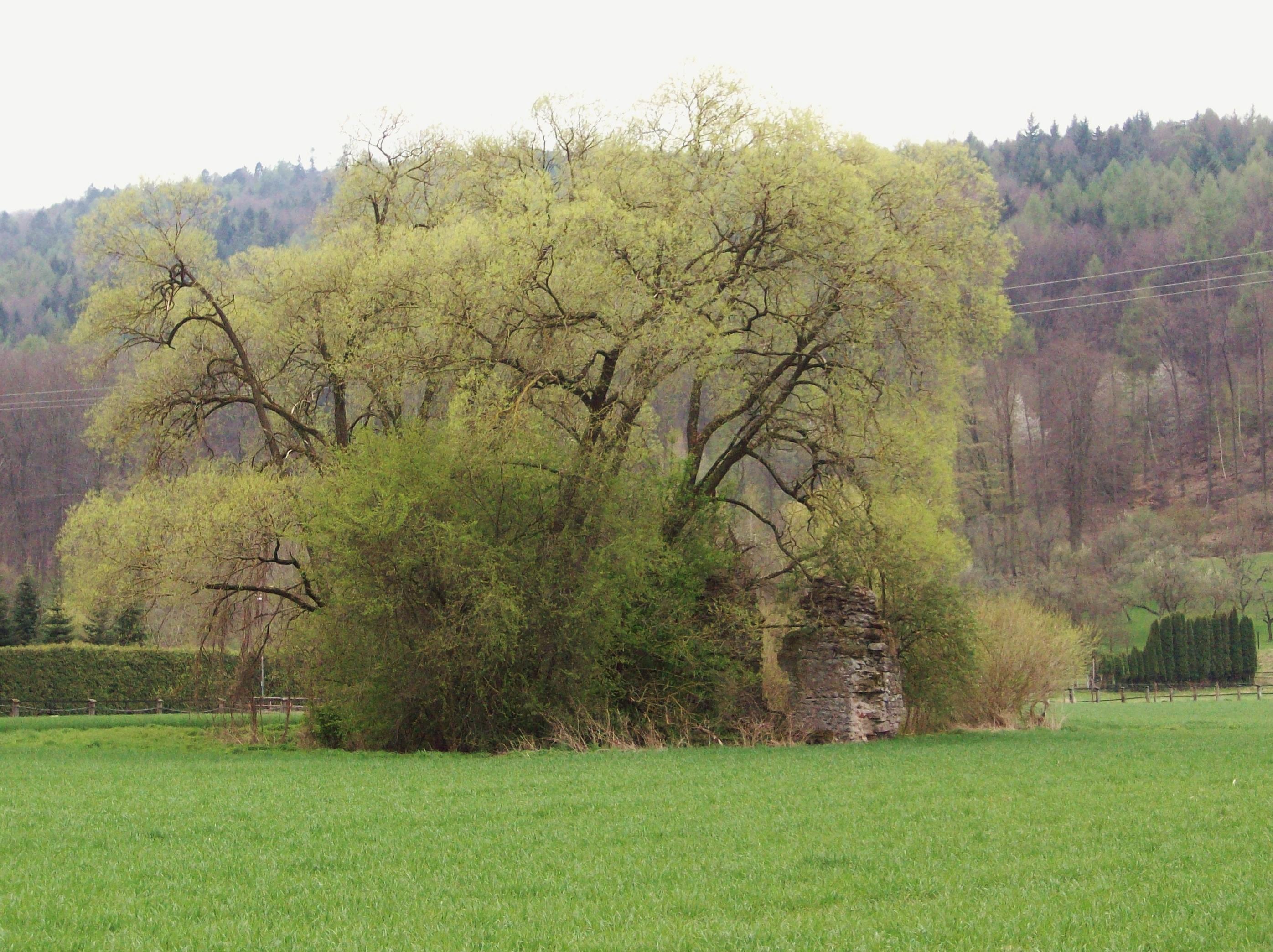Bacheburg