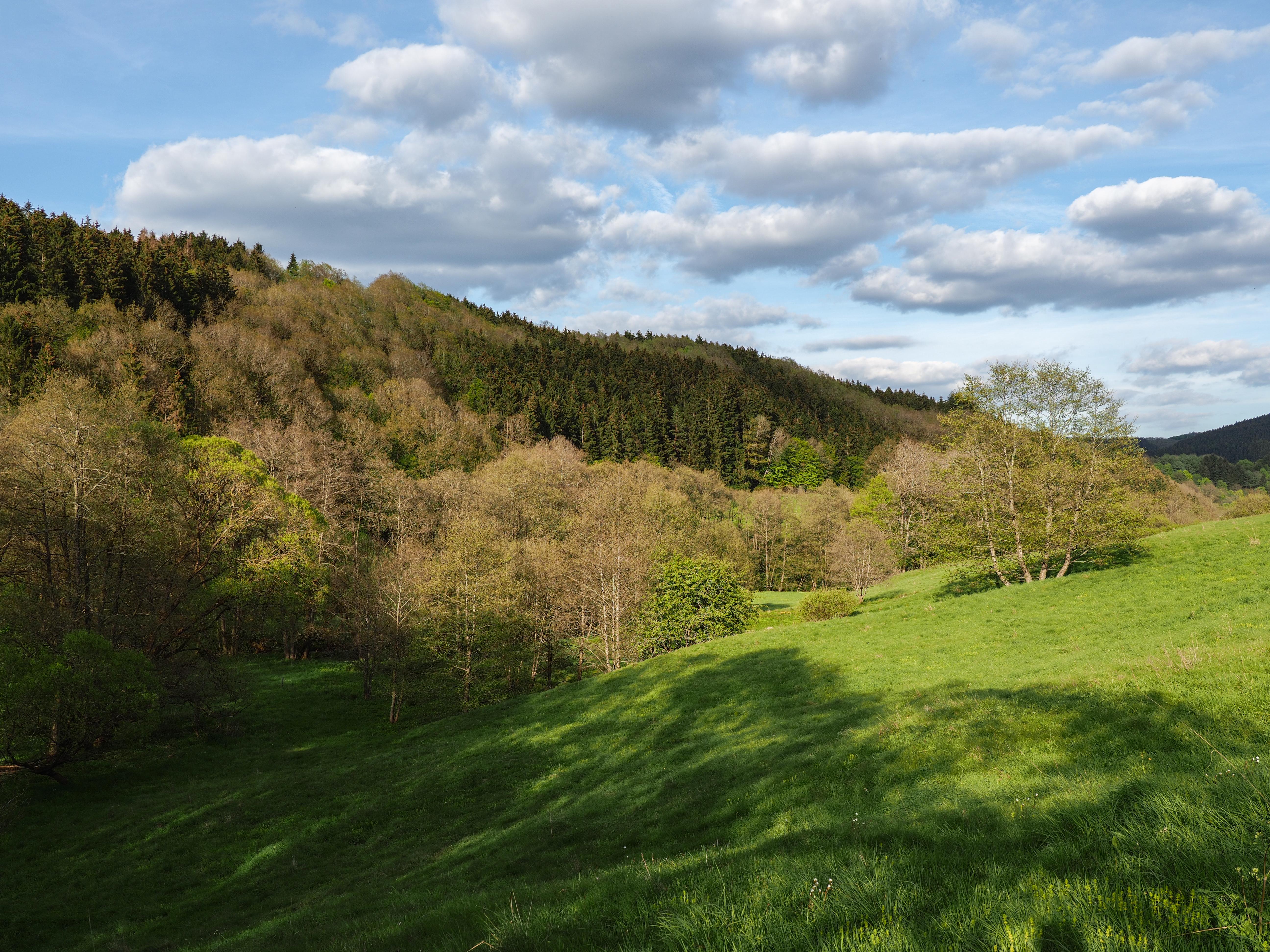 Eishöhlen und Fischbachtal bei Birresborn