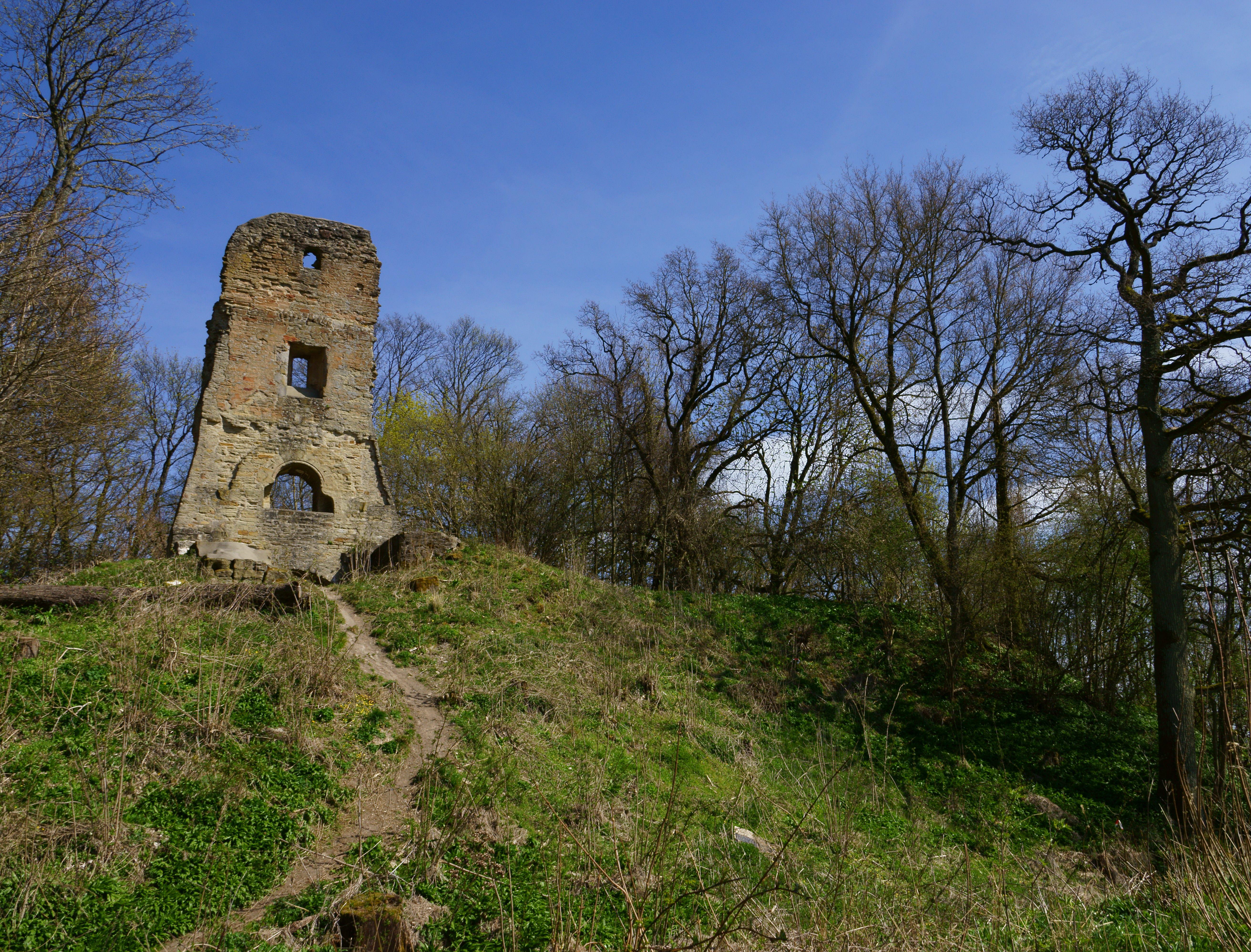 Burgruine Speckfeld