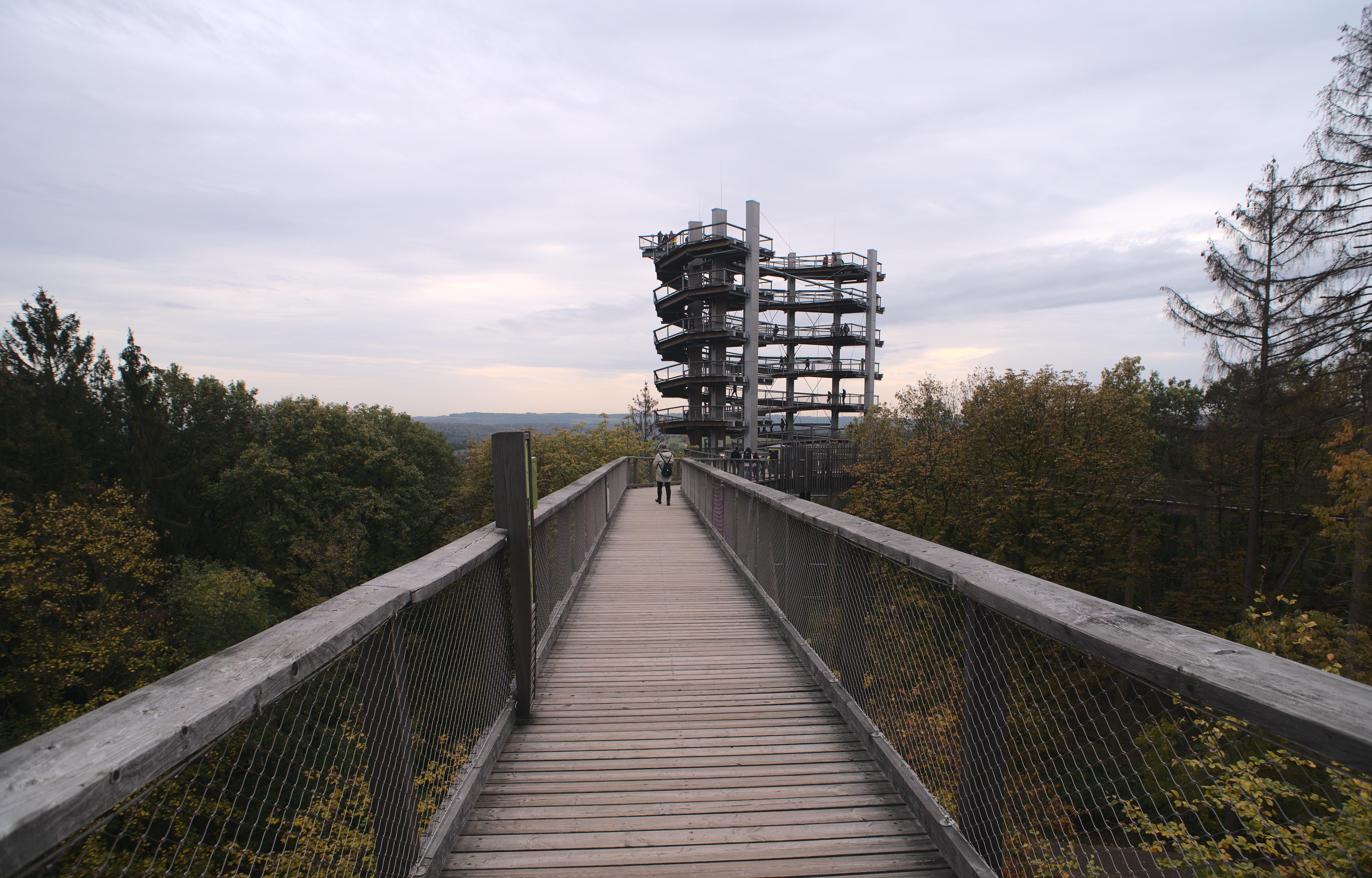 Aussichtsturm Baumwipfelpfad Saarschleife