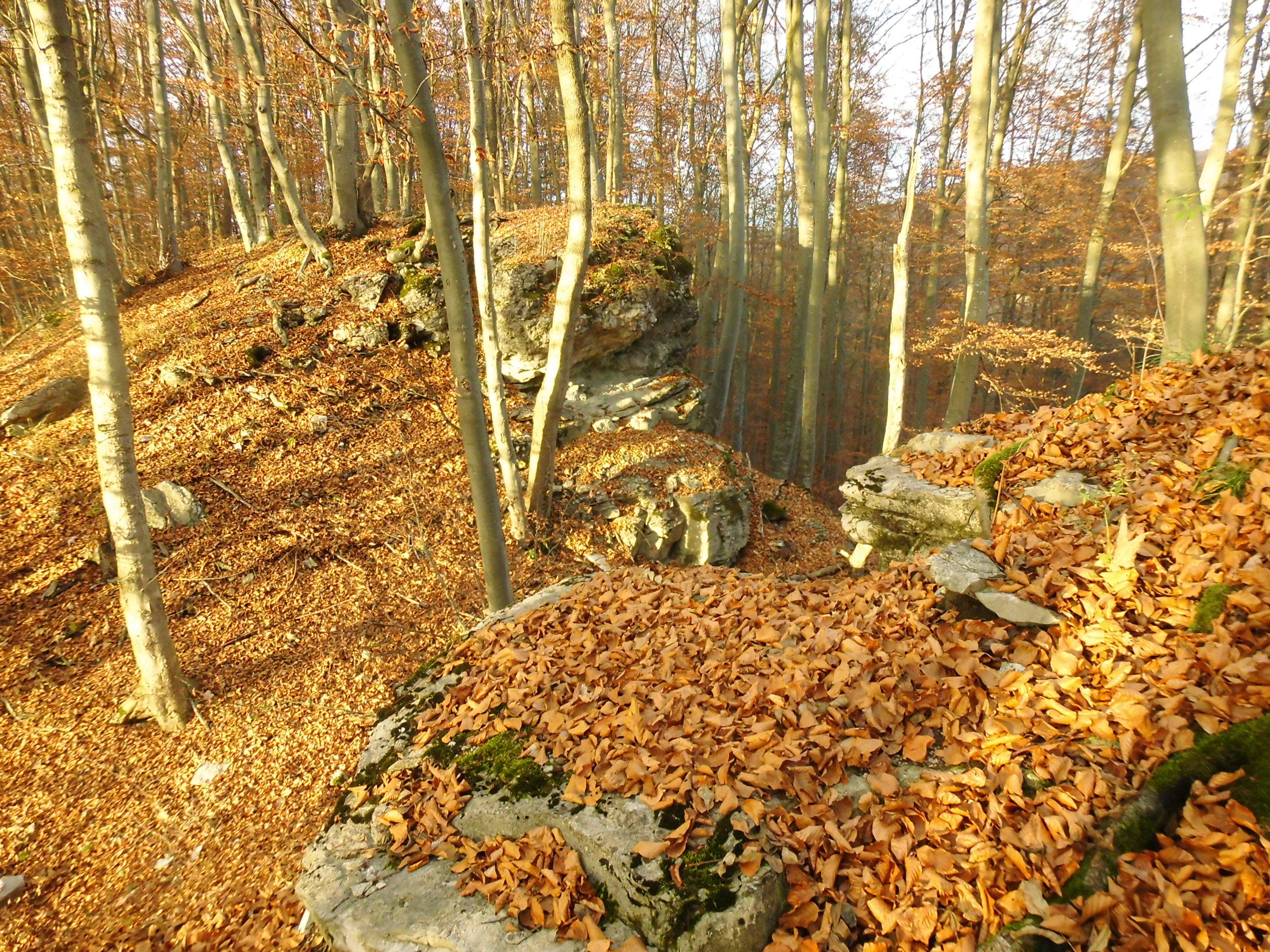 Genkinger Burg Ruine