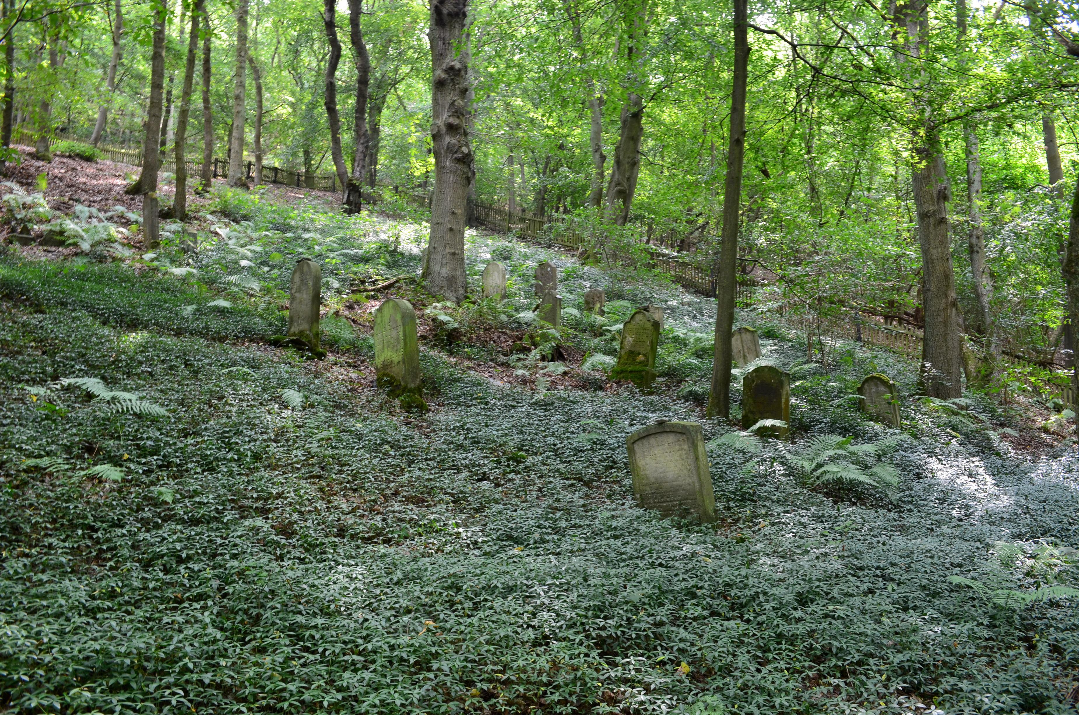 Judischer Friedhof Hirzenach