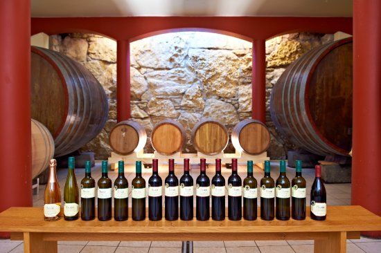 Weingut Hamm an der Burgkirche