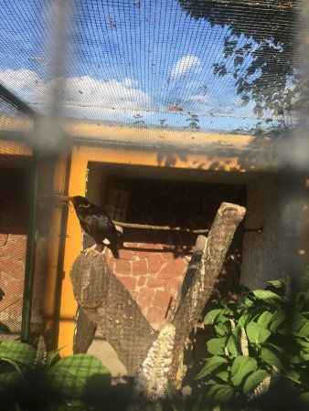 Vogelpark Bobenheim-Roxheim